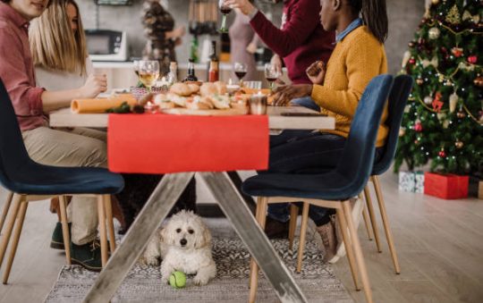 Quelle dimension tapis sous table à manger ?