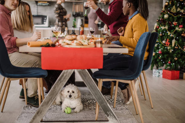 Quelle dimension tapis sous table à manger ?