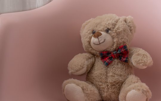 Choisissez la peluche zizi idéale en tenant compte de ces critères essentiels